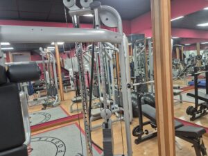 palestra welfare